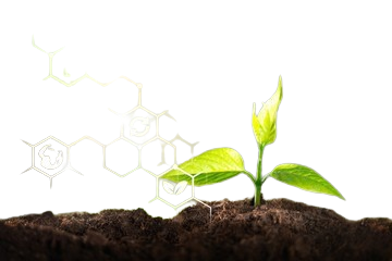 CROP NUTRITION