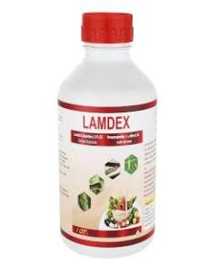 LAMDEX