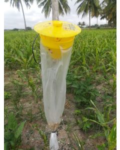 FUNNEL TRAP -1st QLT