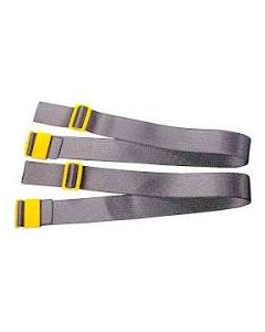 BELT NORMAL-2 INCH