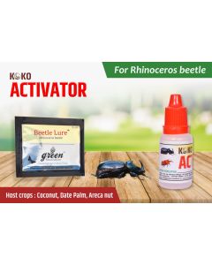BETTLE LURE