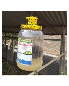 FLY TRAP-POULTRY TRAP