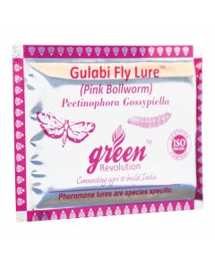  GULABI FLY LURE