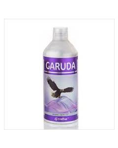 GARUDA-1 LTR