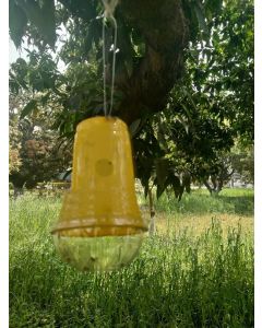 PHEROMONE TRAP