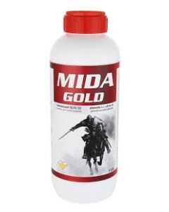 MIDA GOLD