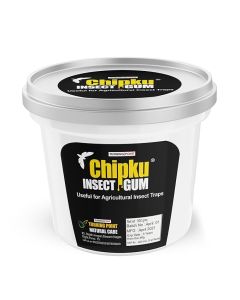 CHIPKU GUM-500 GRAMS PLASTIC DABBA