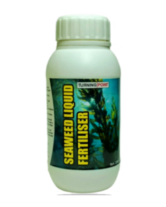 SEAWEED-LIQUID