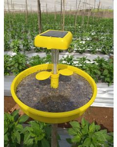 SOLAR TRAP-MINI TRAP