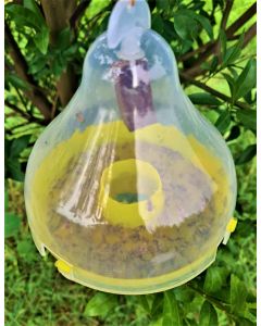 PHEROMONE TRAP-MAX PLUS TRAP