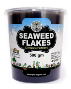 SEAWEED-POWDER