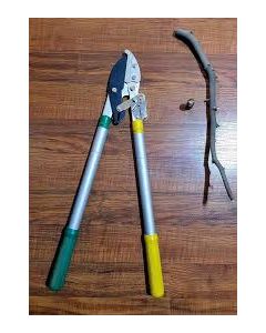 GARDEN SWORD