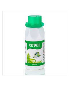 Rebel-250 ML