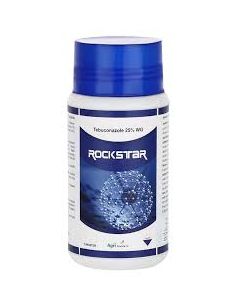 ROCK-STAR-500 GM
