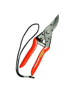 PRUNNING SECATEUR-SARTAJ
