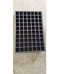 SEED TRAY 198 CAVITY  SQAURE single