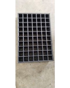 SEED TRAY 104 CAVITY SQAURE 