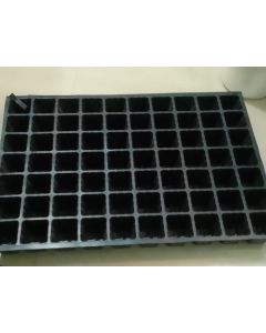 SEED TRAY 126 CAVITY SQAURE 523*347
