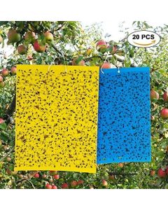 STICKY-TRAPS-200 MM*30 MM PACK 25