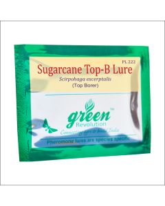 SUGARCANE TOP B LURE-PL - 226