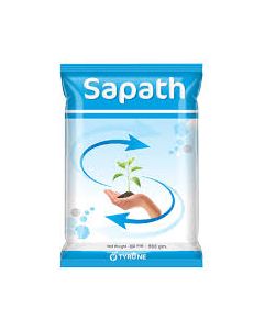 SAPATH