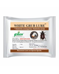 WHITE GRUB LURE