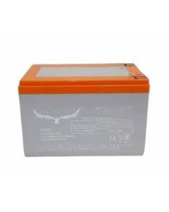 EAGLE WINGS BATTERY 12V