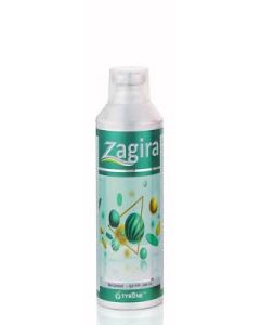 Zagira